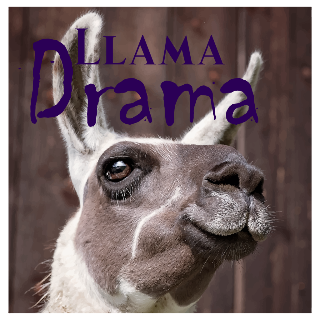 Llama staring into distance. Connected to blog post for shirts.