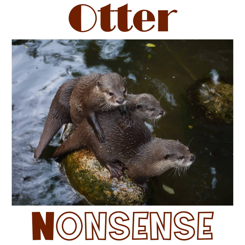 Otters playing on a rock. Image header for page featuring otter t-shirts.